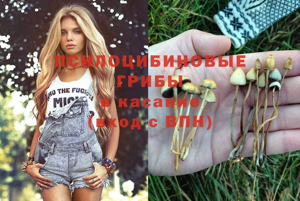 героин Алзамай