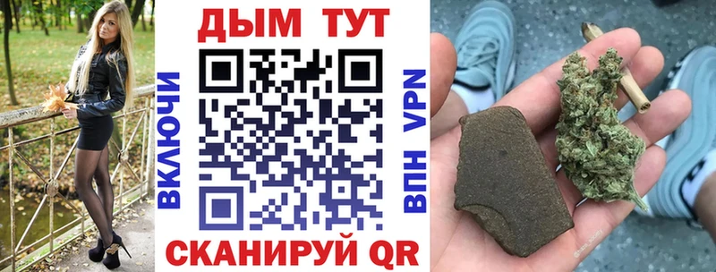 Бошки Шишки SATIVA & INDICA  закладки  дарк нет наркотические препараты  Дзержинск  hydra как зайти 